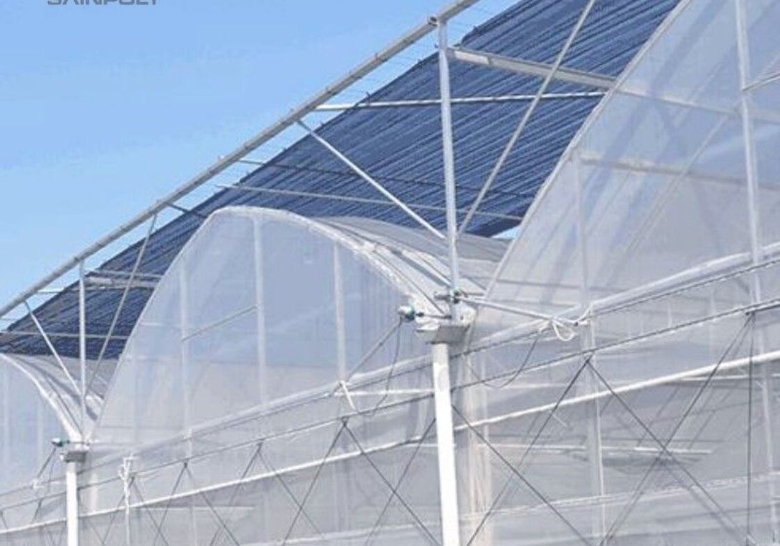 Film Greenhouse for Vegetable Cultivation