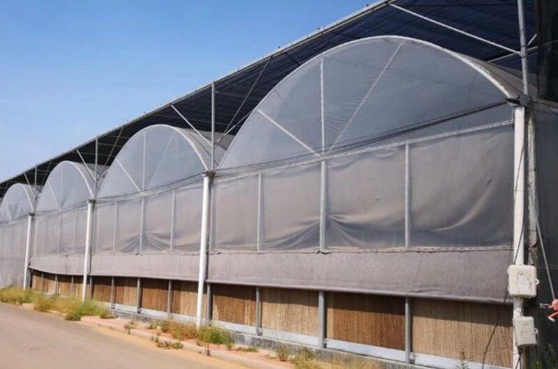Film Greenhouse for Vegetable Cultivation