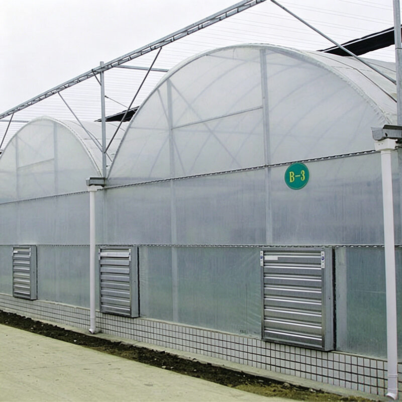 Film Greenhouse with Automated Climate and Fertigation Systems
