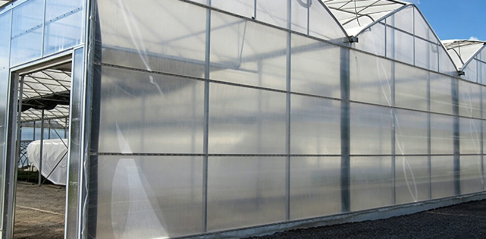 Film Greenhouse with Automated Climate and Fertigation Systems