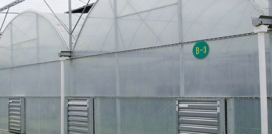 Film Greenhouse with Automated Shading and Irrigation