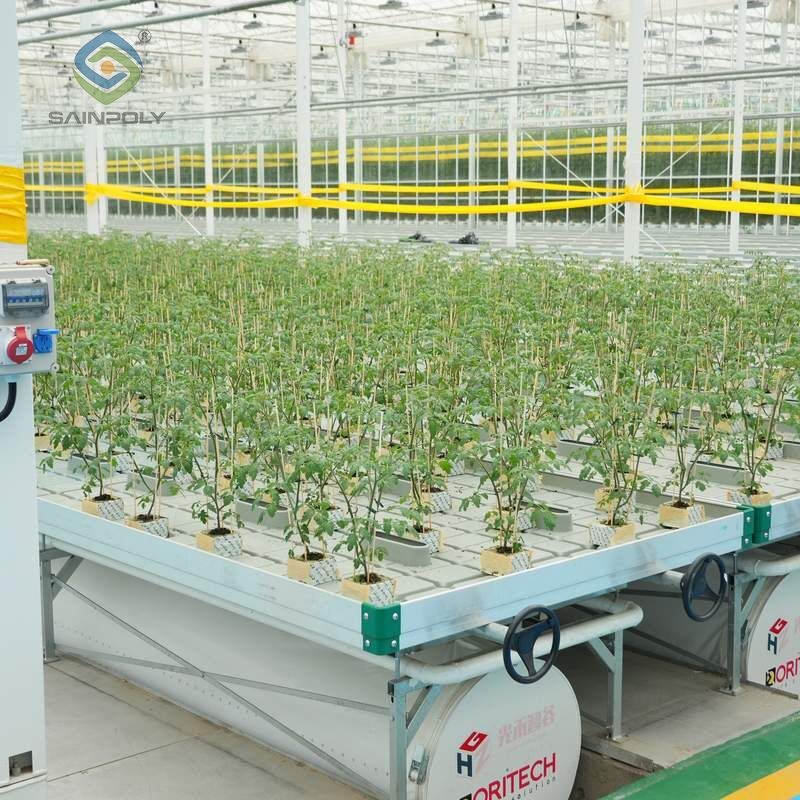 Flat Hydroponic Greenhouse