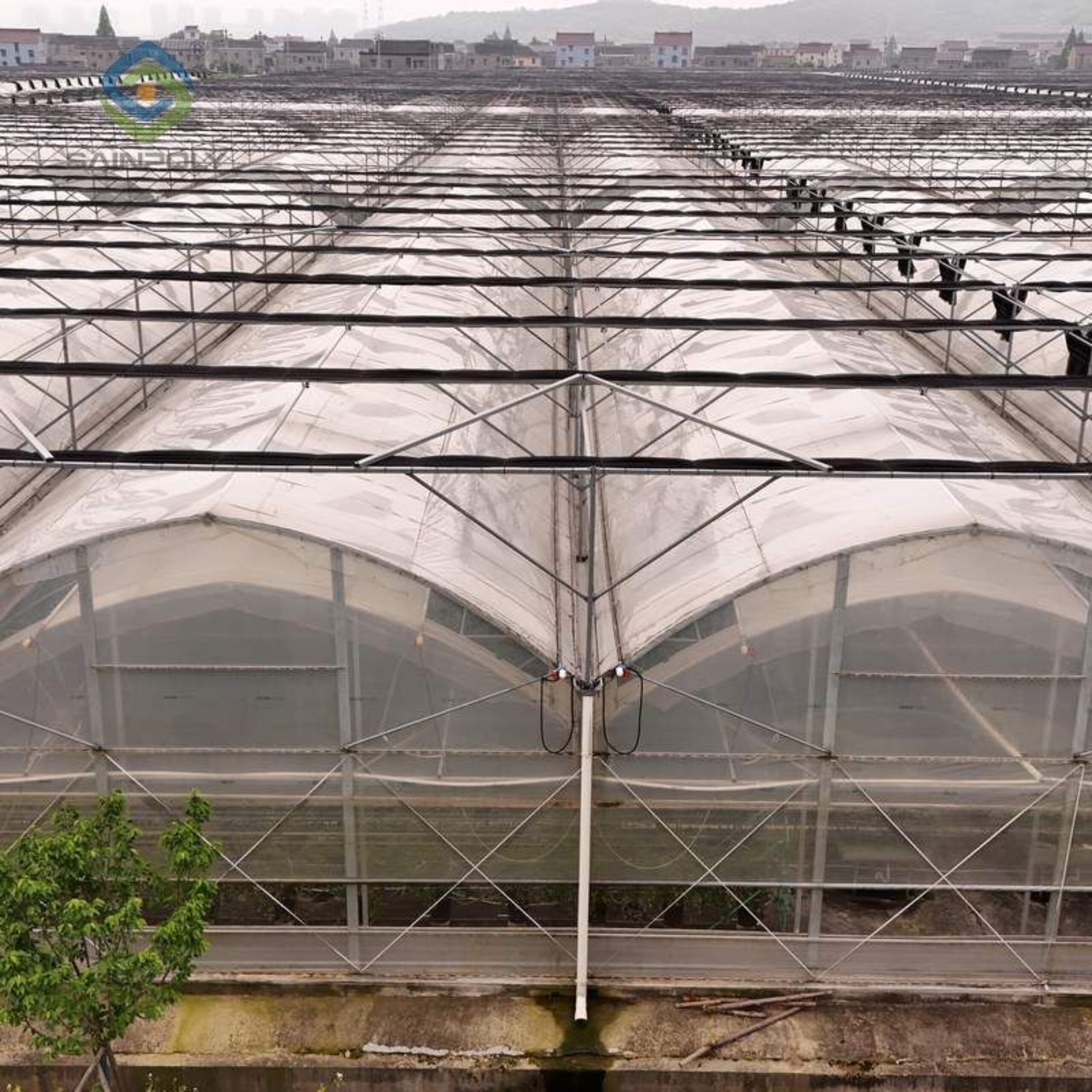 Flat Hydroponic Greenhouse
