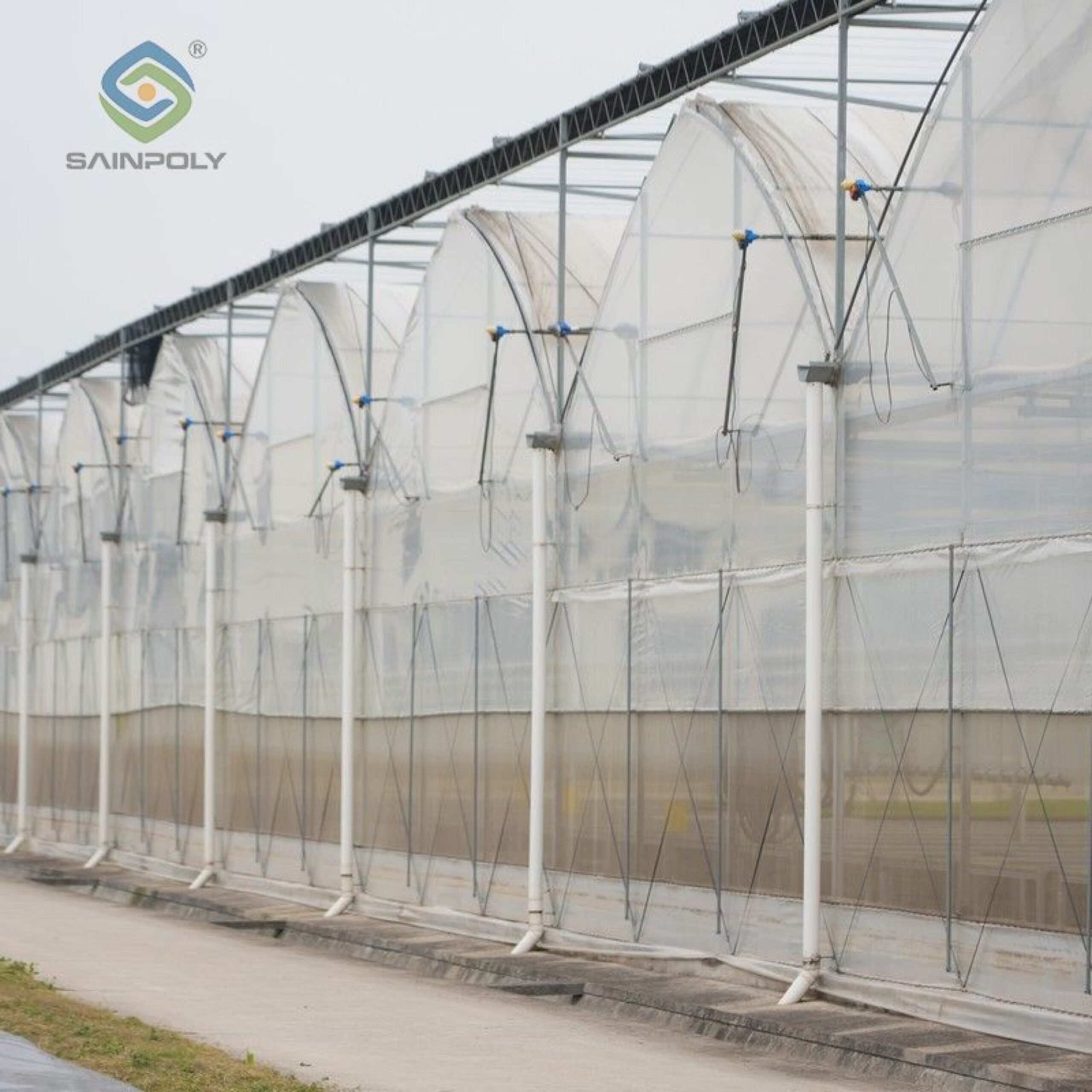 Flat Hydroponic Greenhouse