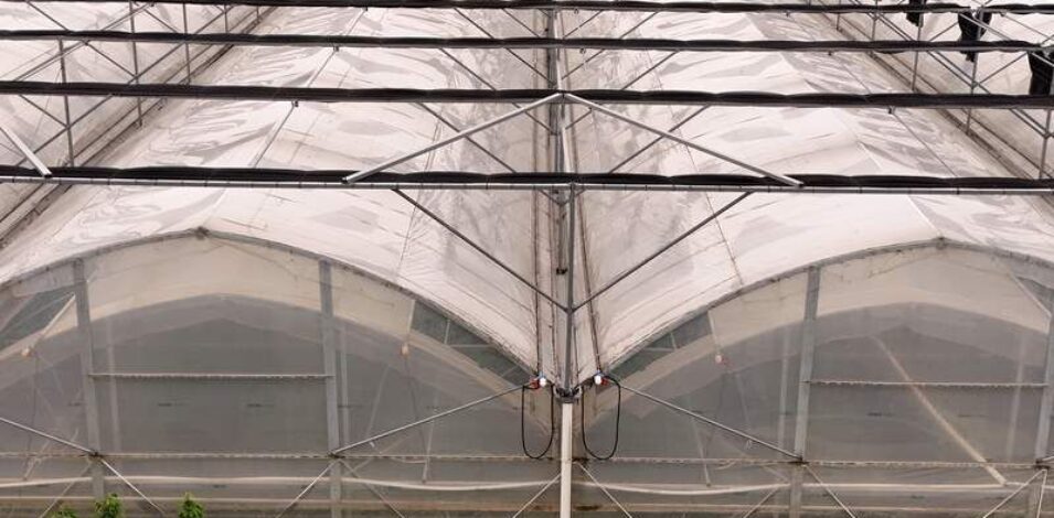 Flat Hydroponic Greenhouse