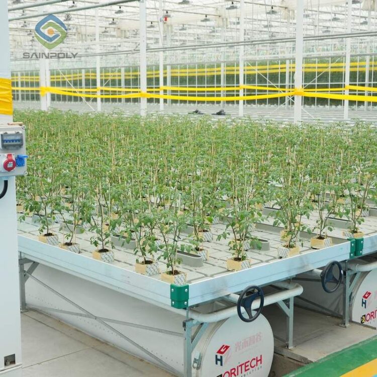 Flat Hydroponic Greenhouse