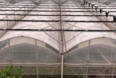 Flat Hydroponic Greenhouse