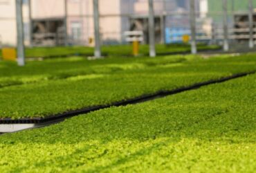 Flat Hydroponic Greenhouse