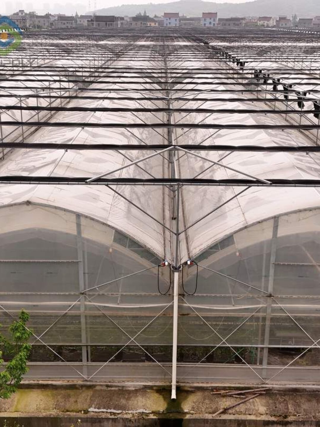 Flat Hydroponic Greenhouse