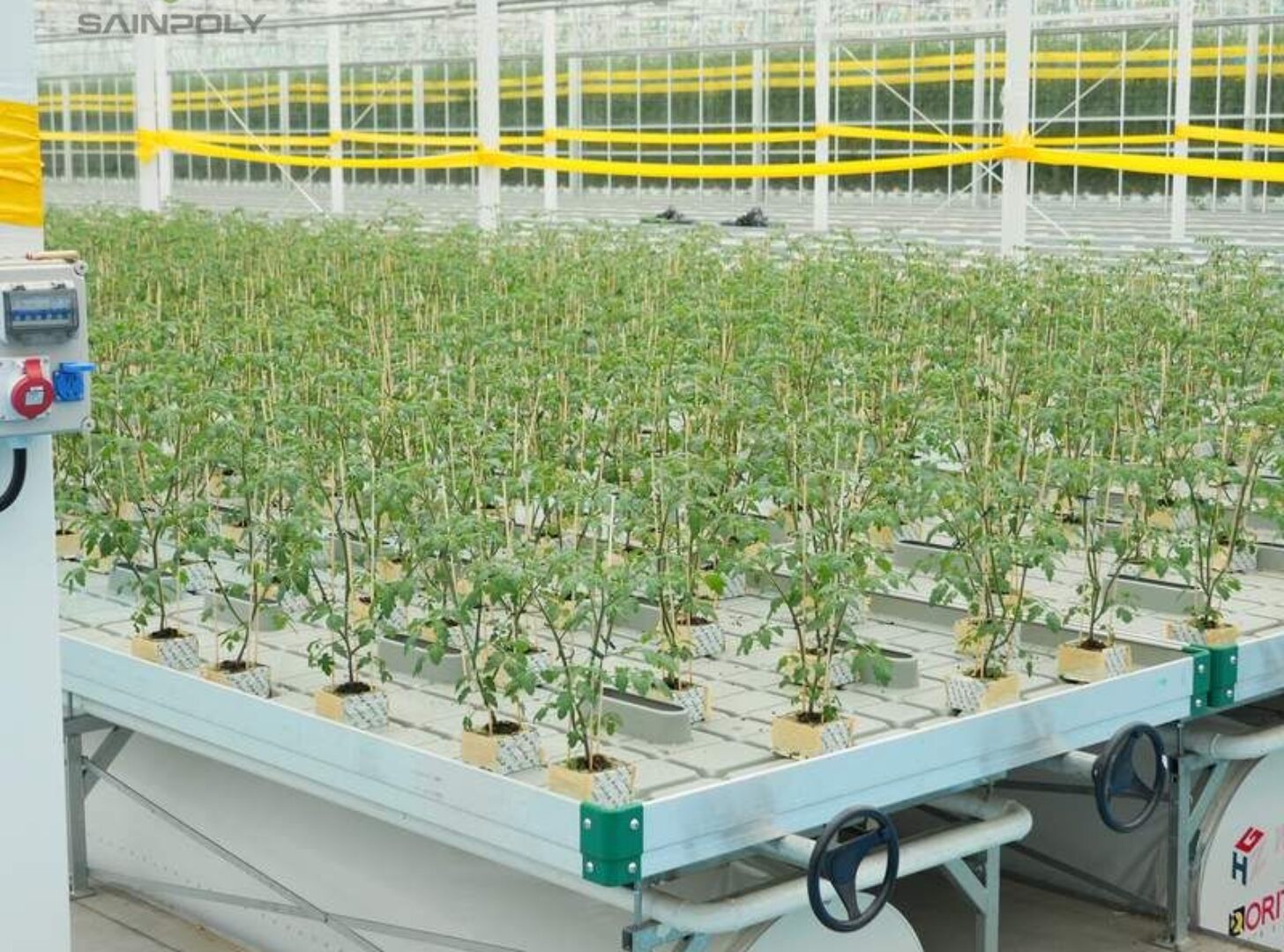 Flat Hydroponic Greenhouse