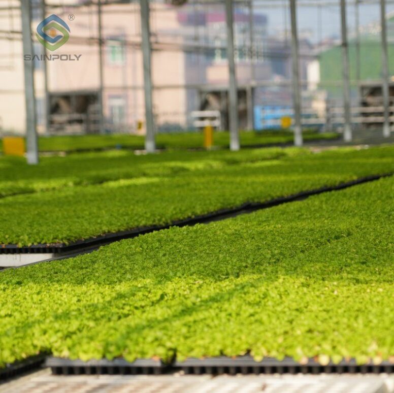 Flat Hydroponic Greenhouse