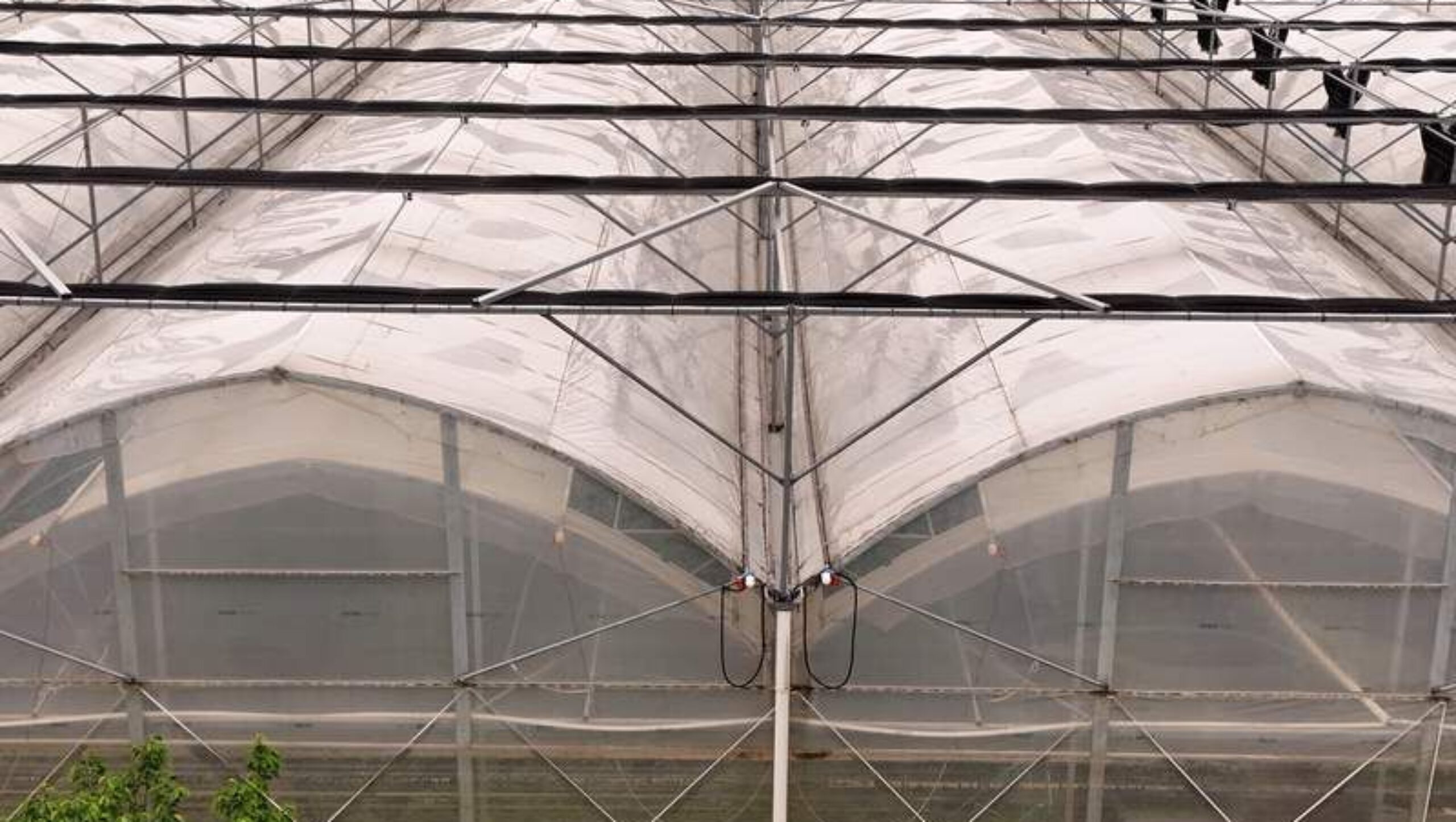 Flat Hydroponic Greenhouse