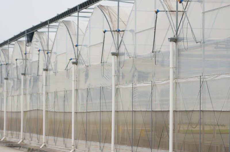Flat Hydroponic Greenhouse