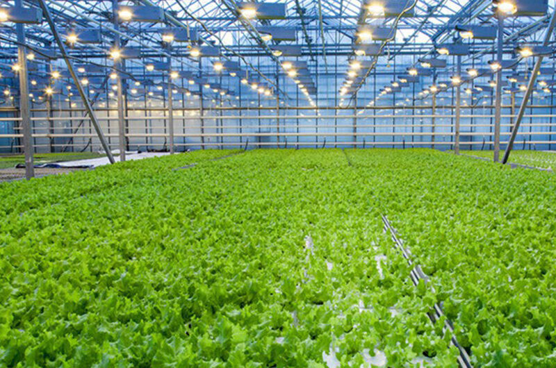 flat hydroponic greenhouse is used for the commercial annual planting of crops, with a built-in circular