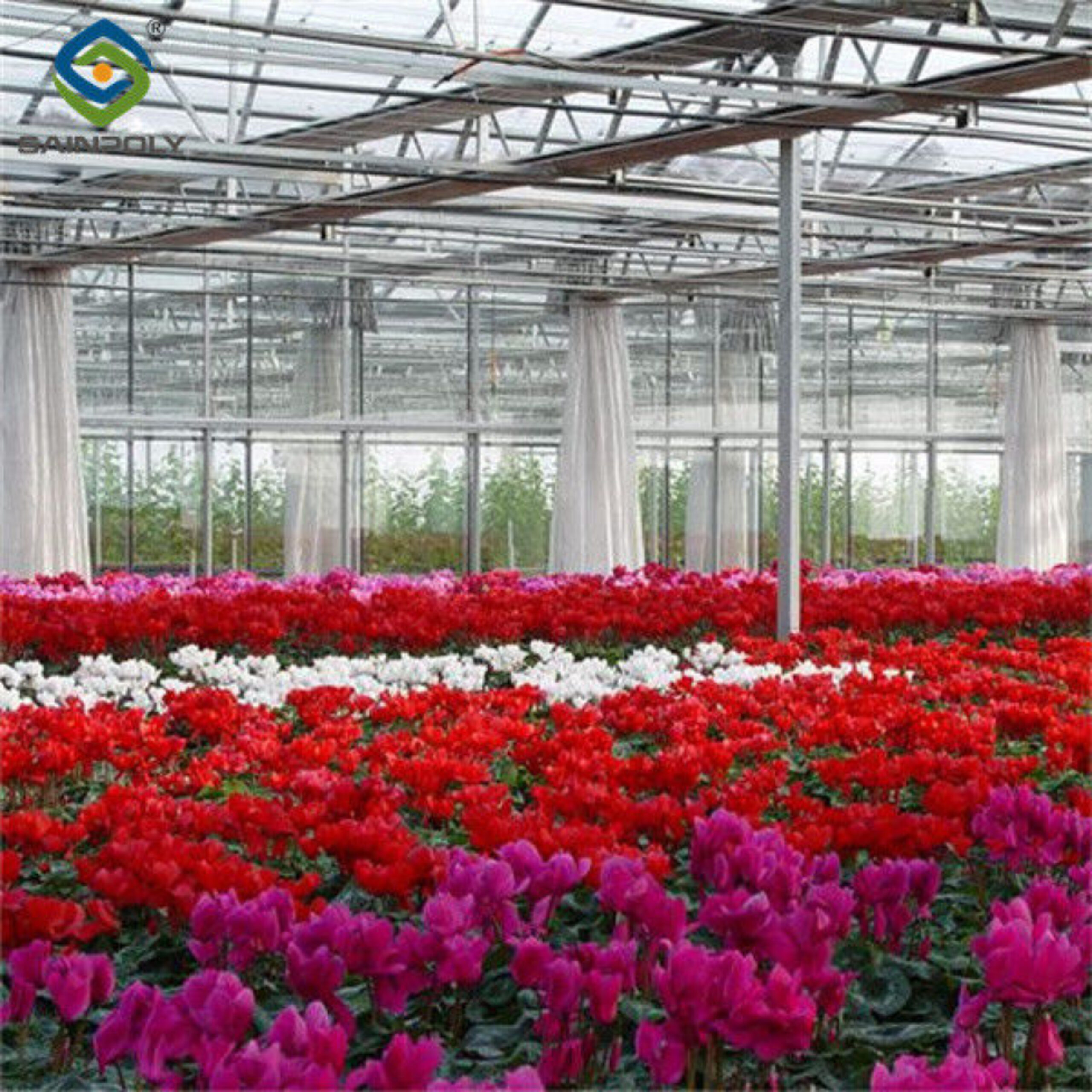 Flower Farm Greenhouse With Galvanized Steel Space Grid Frame Automated Electric Systems