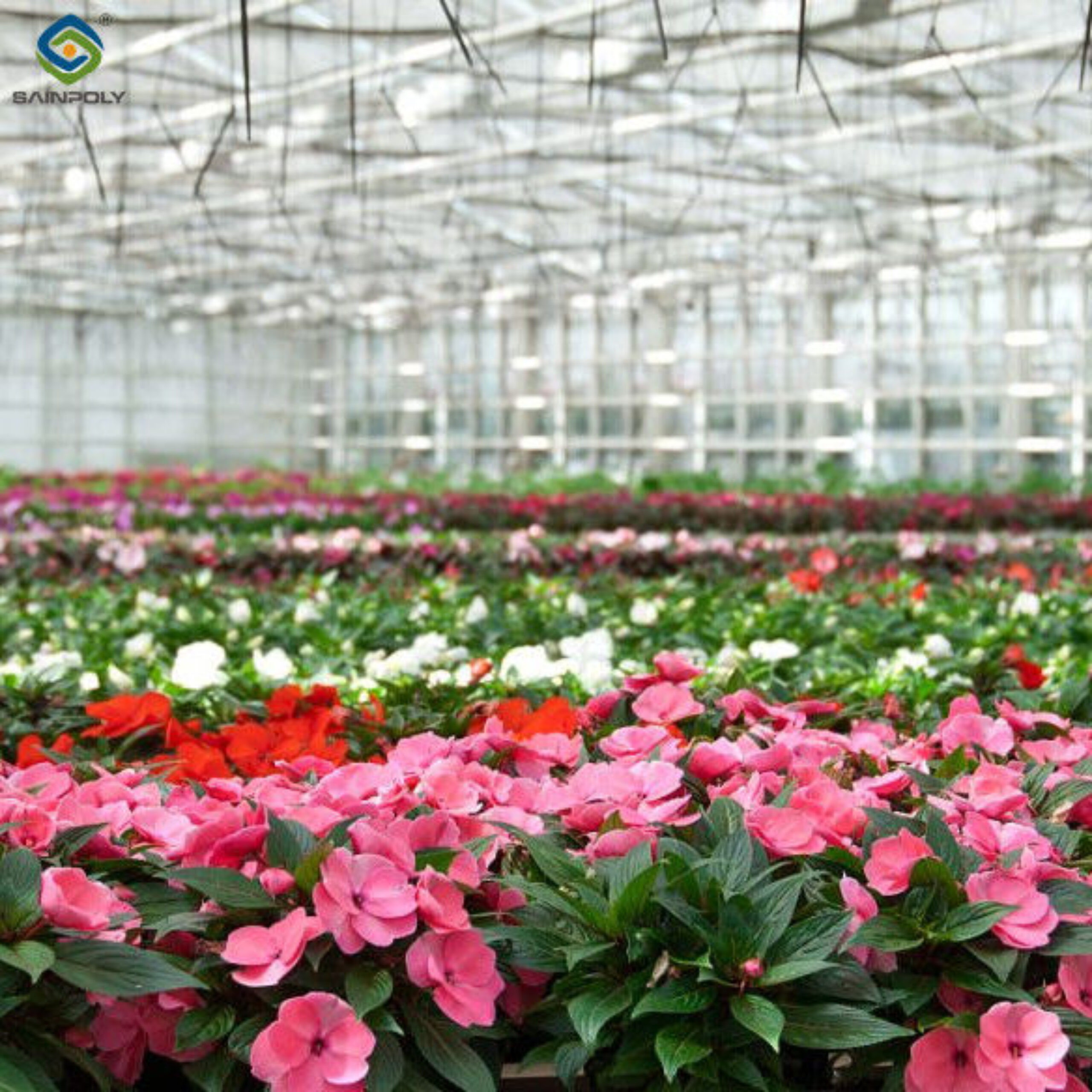 Flower Farm Greenhouse With Galvanized Steel Space Grid Frame Automated Electric Systems