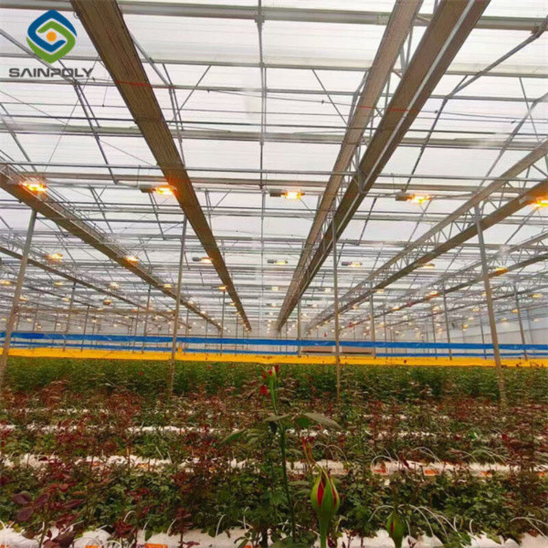 Flower Growing Steel Frame Greenhouse Wind Resistance Large Glass Greenhouse