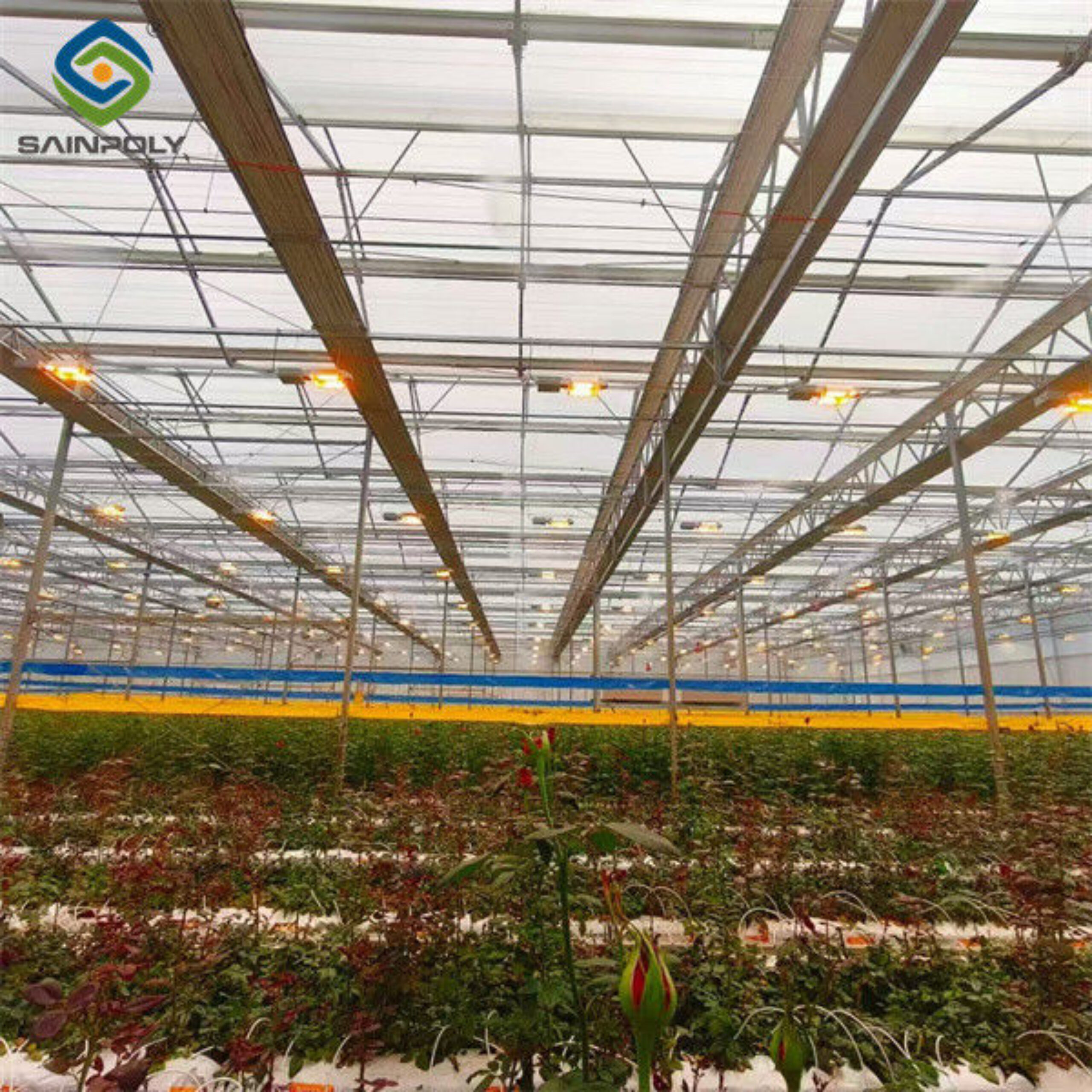 Flower Growing Steel Frame Greenhouse Wind Resistance Large Glass Greenhouse