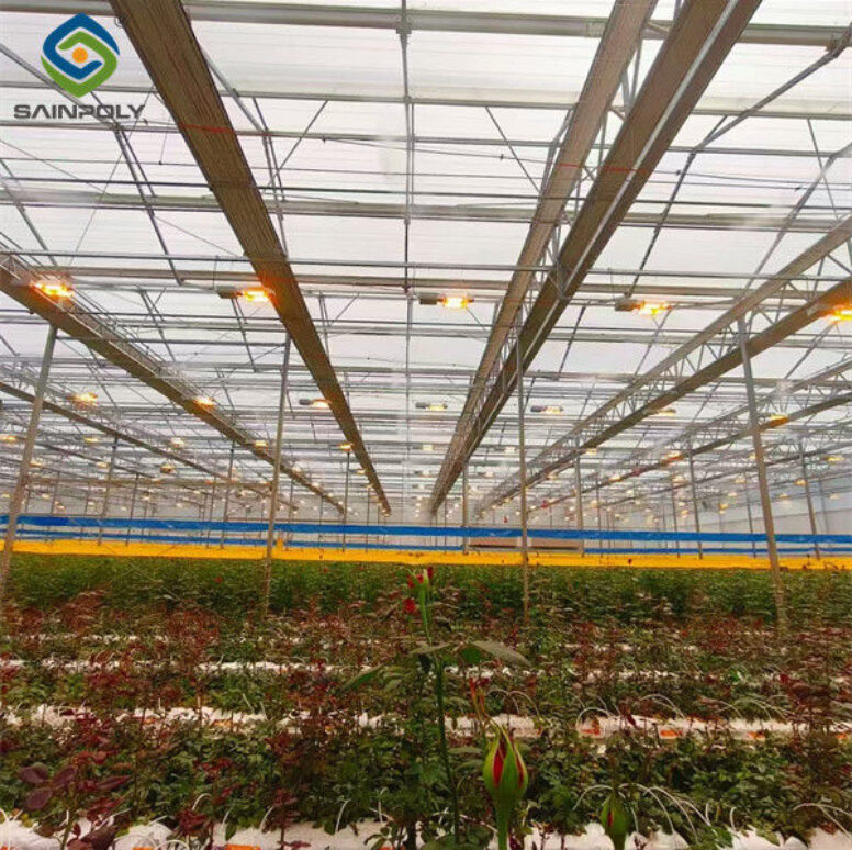 Flower Growing Steel Frame Greenhouse Wind Resistance Large Glass Greenhouse