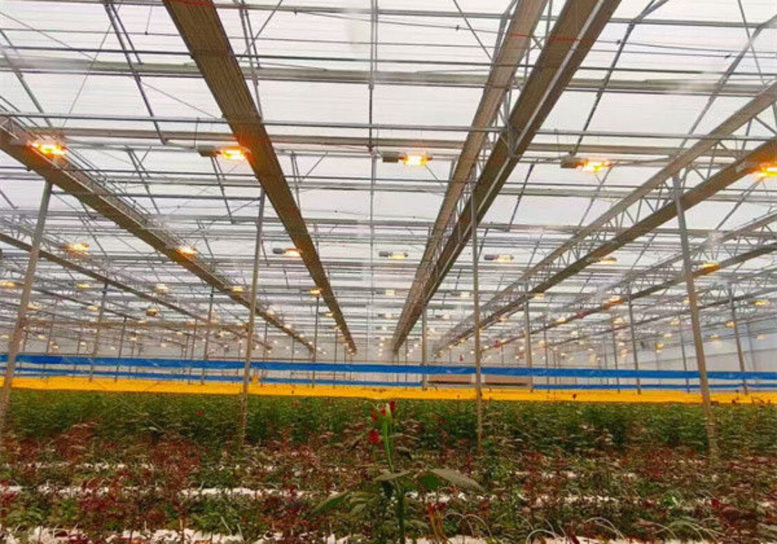 Flower Growing Steel Frame Greenhouse Wind Resistance Large Glass Greenhouse