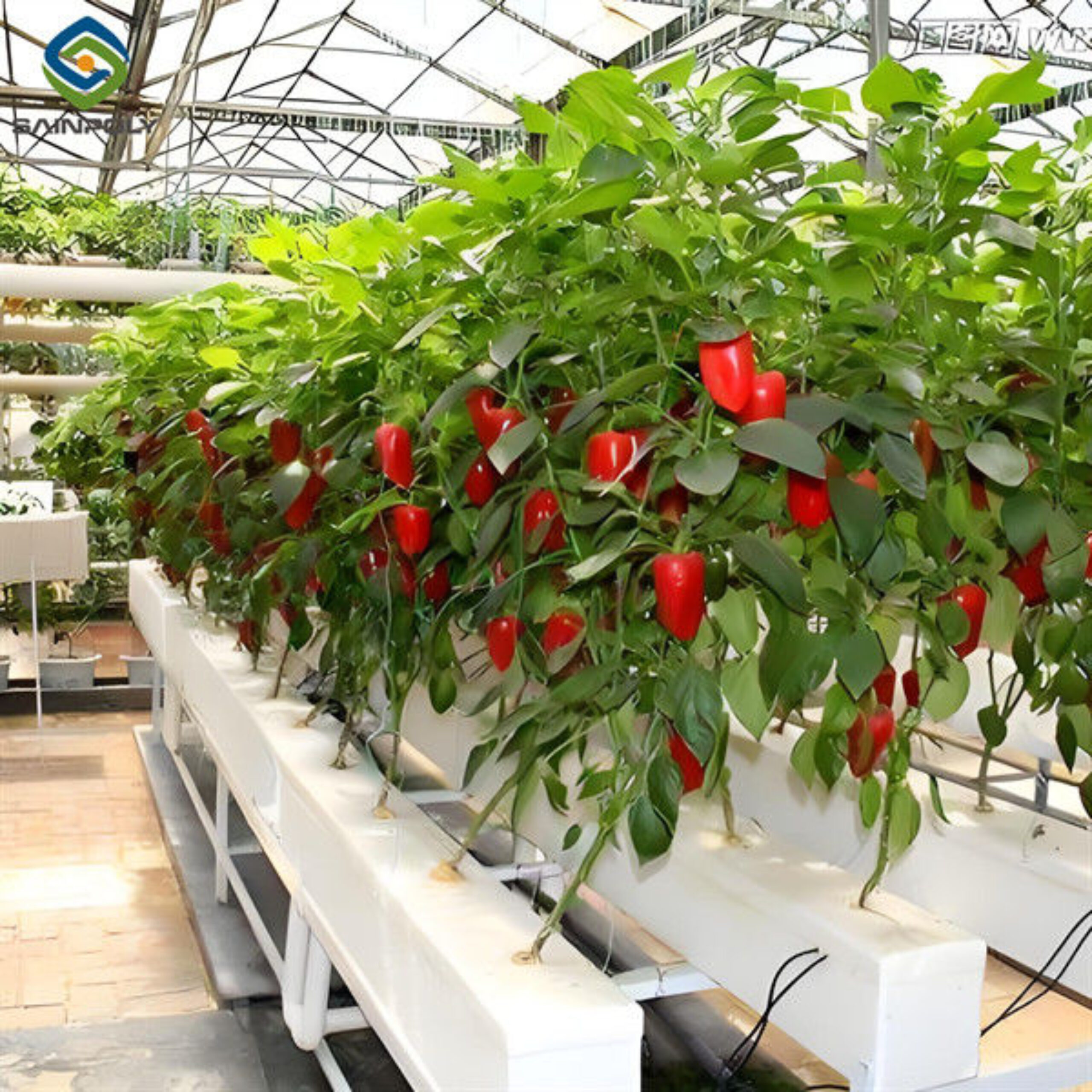 Food Grade PVC Pipe NFT Channel Hydroponic Greenhouse Eco Friendly