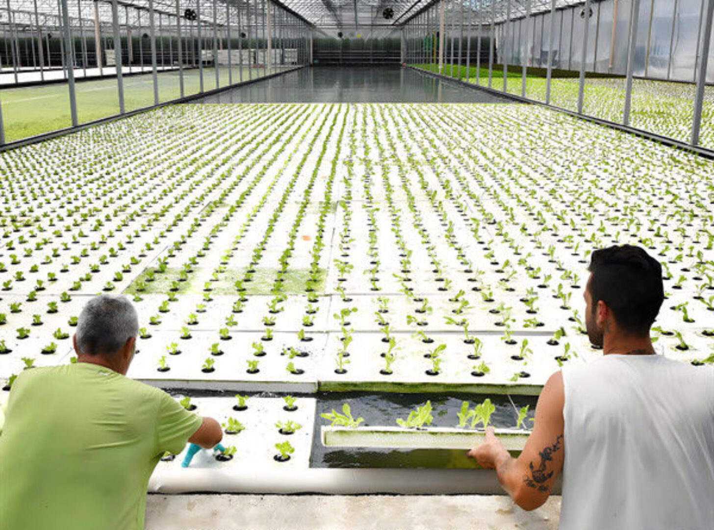 Food Grade PVC Pipe NFT Channel Hydroponic Greenhouse Eco Friendly