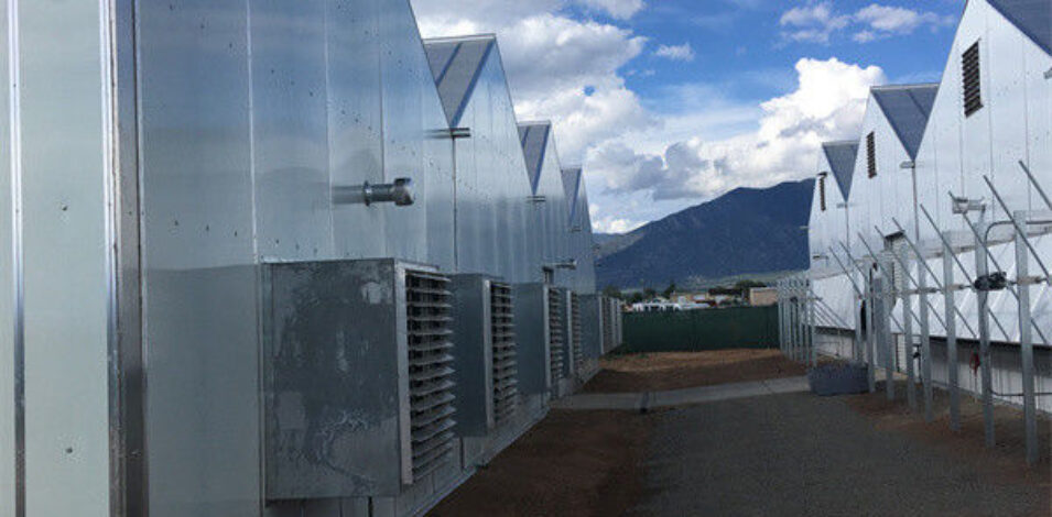 Blackout Greenhouse structure and growing equipment options