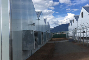 Fully Automated Light Deprivation Greenhouses With Blackout System For Herb