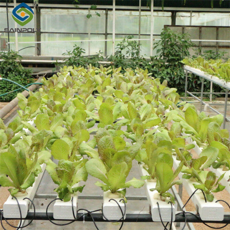 Galvanized Frame Multi Span Greenhouse With Hydroponic Growing Systems
