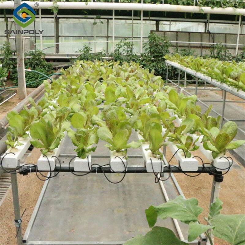 Galvanized Frame Multi Span Greenhouse With Hydroponic Growing Systems