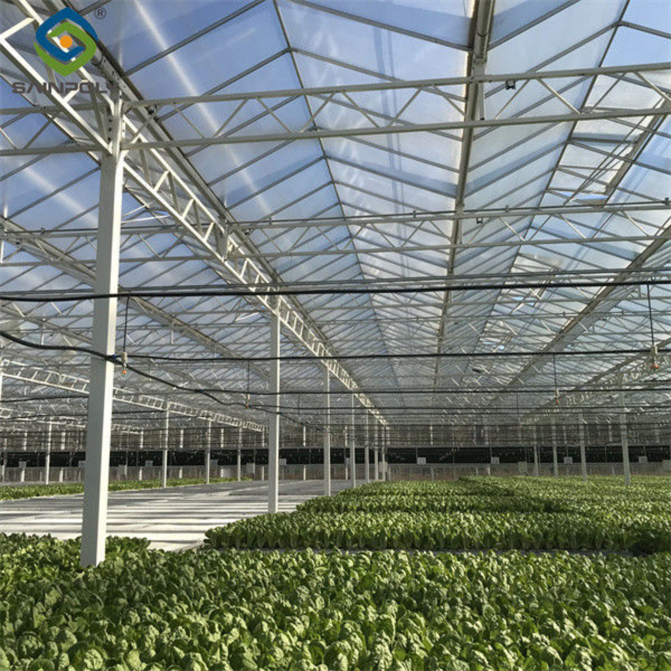 Galvanized Frame Multi Span Greenhouse With Hydroponic Growing Systems