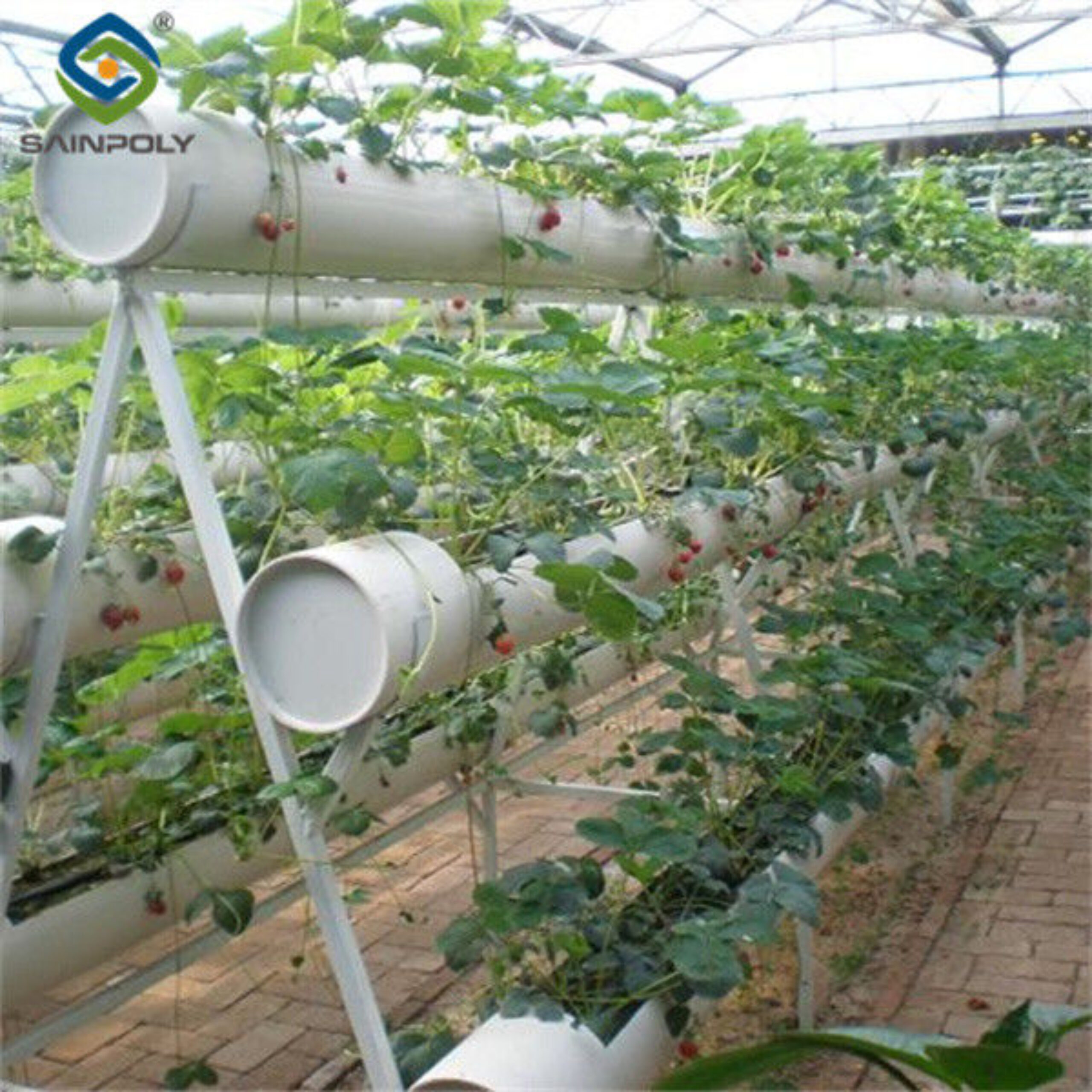 Galvanized Frame Multi Span Greenhouse With Hydroponic Growing Systems