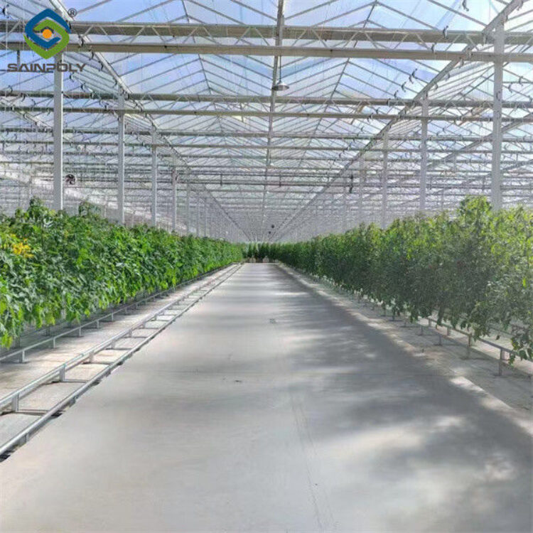 Galvanized Frame Single Span Tunnel Greenhouse Plastic Shed For Vegetables