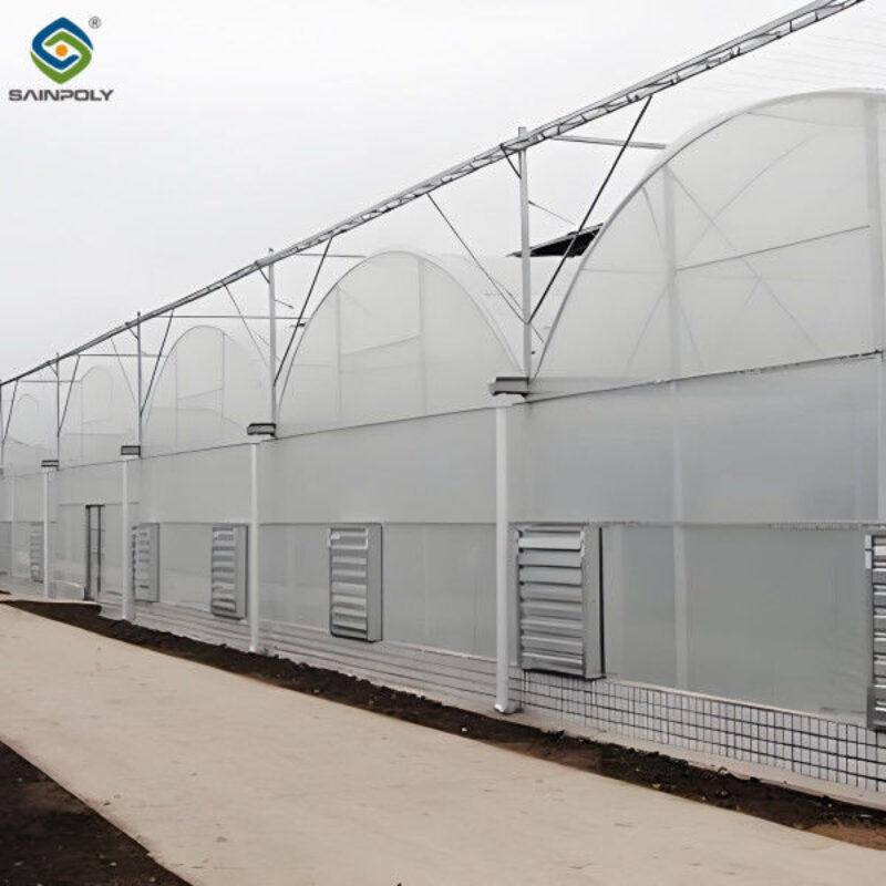 Galvanized Steel Frame Large Economical Plastic Film Greenhouse For Optimal Growth
