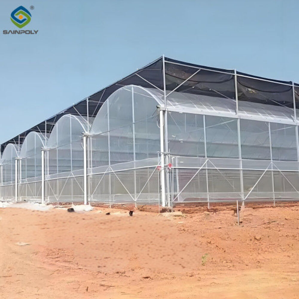 Galvanized Steel Frame Large Economical Plastic Film Greenhouse For Optimal Growth