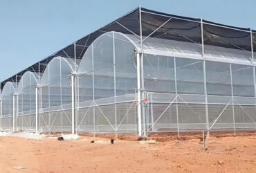 Galvanized Steel Frame Large Economical Plastic Film Greenhouse For Optimal Growth