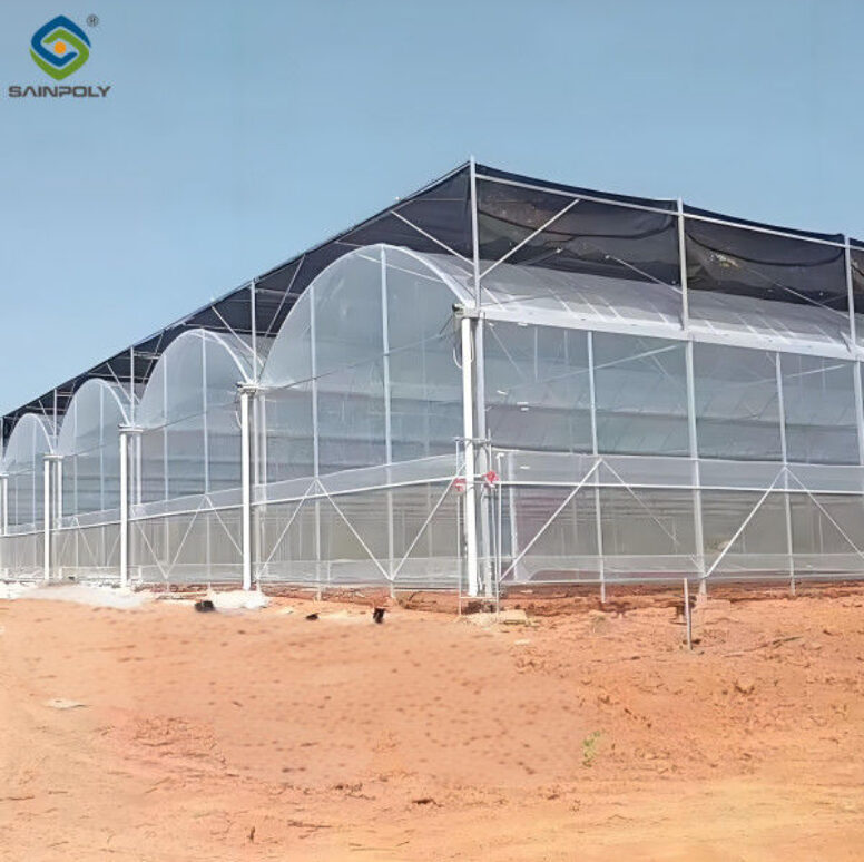 Galvanized Steel Frame Large Economical Plastic Film Greenhouse For Optimal Growth