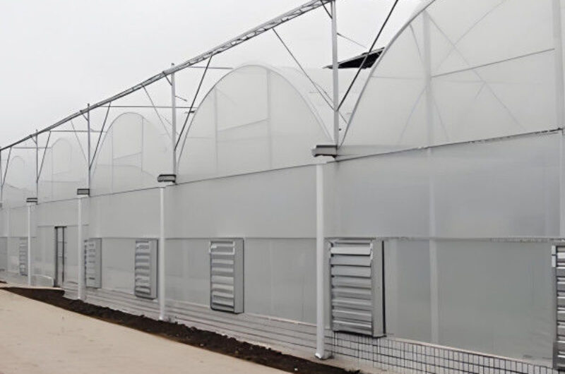 Galvanized Steel Frame Large Economical Plastic Film Greenhouse For Optimal Growth