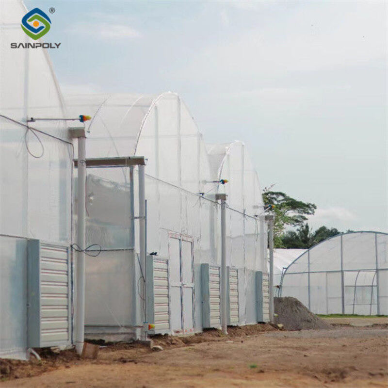 Galvanized Steel Frame Multispan Greenhouse 30-100m Length Customized Size