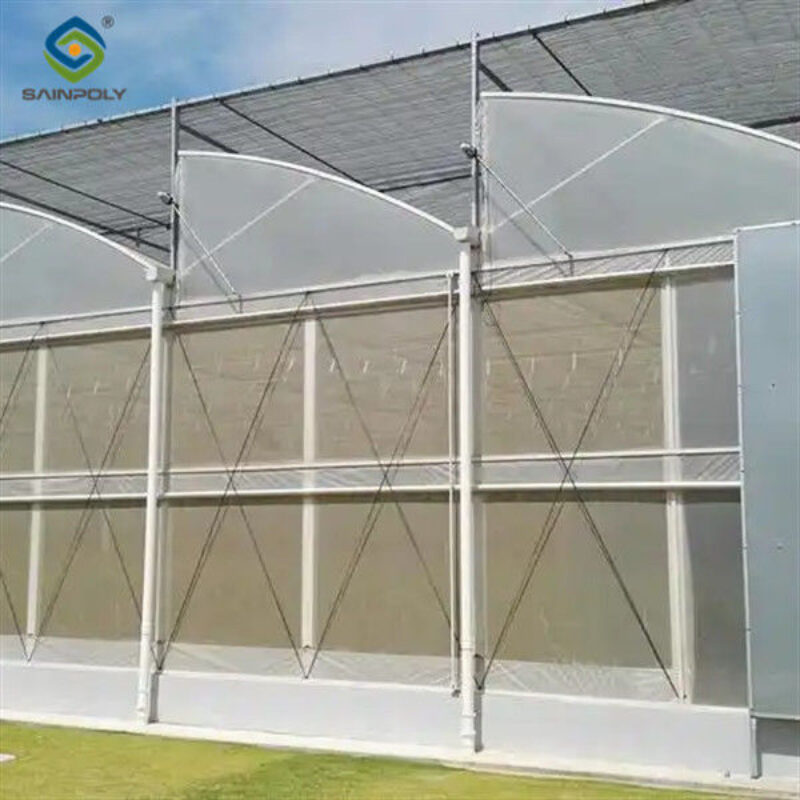 Galvanized Steel Gothic Shaped Greenhouse Snow Resistance With Ventilation System