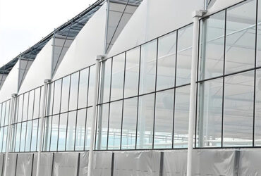 Galvanized Steel Gothic Shaped Greenhouse Snow Resistance With Ventilation System