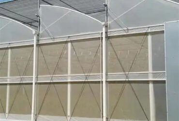 Galvanized Steel Gothic Shaped Greenhouse Snow Resistance With Ventilation System