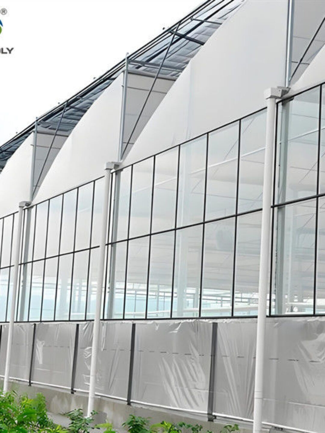 Galvanized Steel Gothic Shaped Greenhouse Snow Resistance With Ventilation System