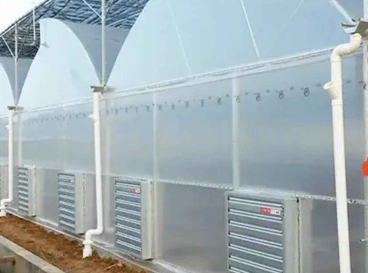 Galvanized Steel Gothic Shaped Greenhouse Snow Resistance With Ventilation System