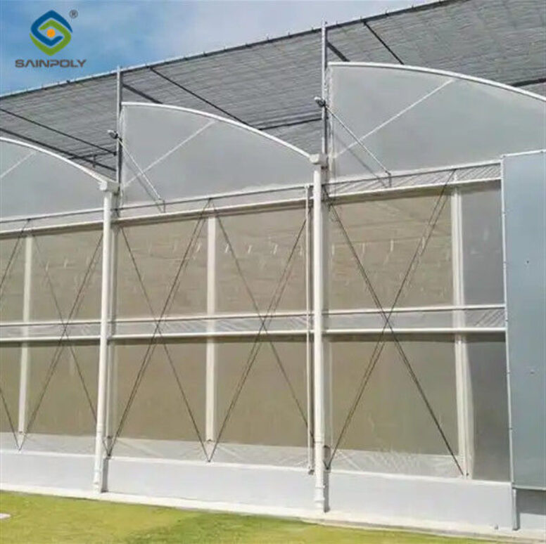 Galvanized Steel Gothic Shaped Greenhouse Snow Resistance With Ventilation System