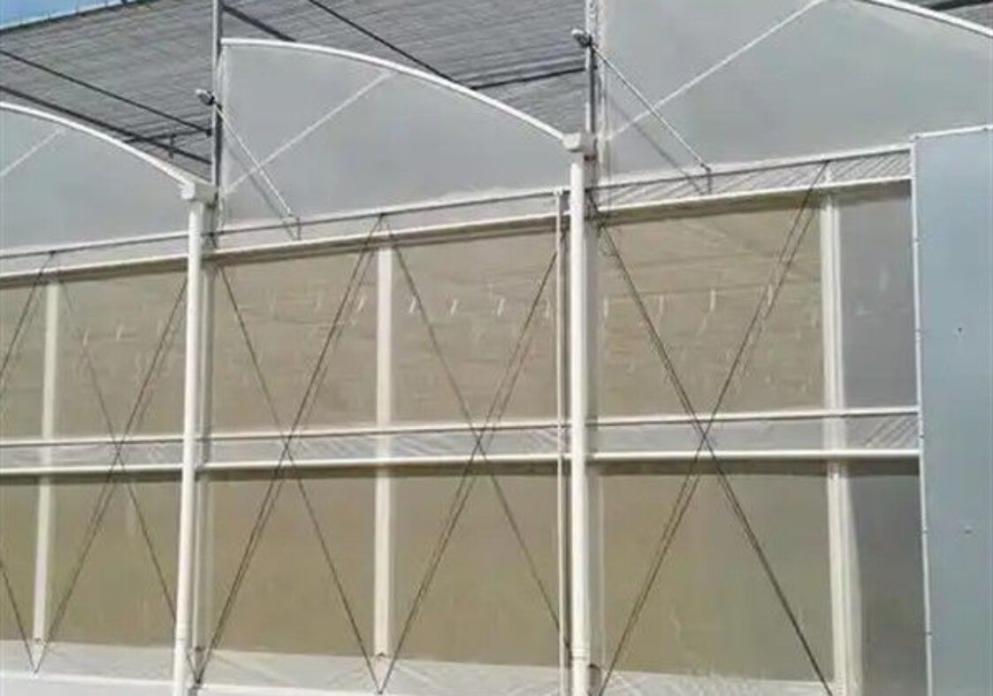 Galvanized Steel Gothic Shaped Greenhouse Snow Resistance With Ventilation System