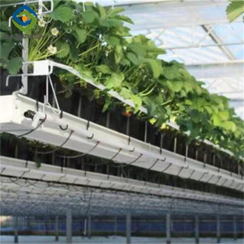 Galvanized Steel Hydroponics Strawberry Greenhouse Large Size