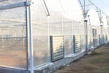 Galvanized Steel Multispan Commercial Polycarbonate Greenhouse Customized Length