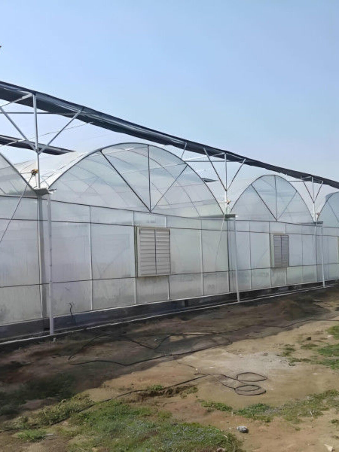Galvanized Steel Multispan Commercial Polycarbonate Greenhouse Customized Length