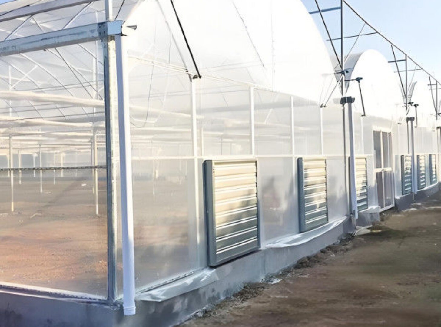 Galvanized Steel Multispan Commercial Polycarbonate Greenhouse Customized Length